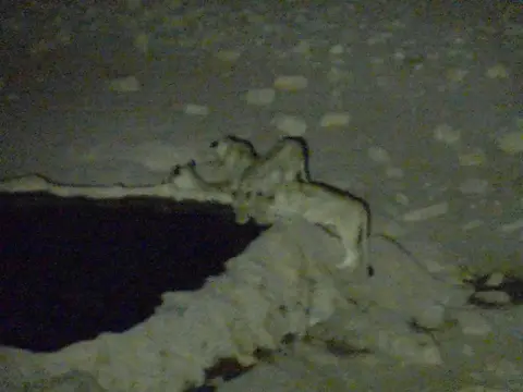 Tag15-0340.JPG