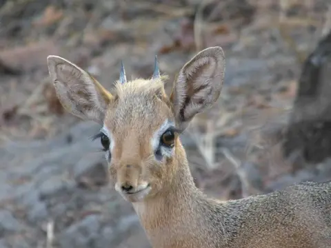 Tag19-1110.JPG