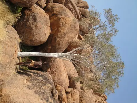 DSC02594.jpg