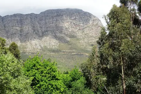 hea0aef9.JPG