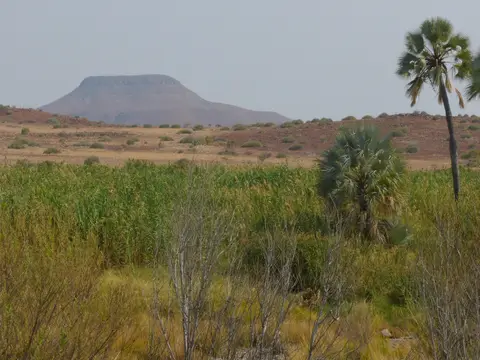 P1000433.JPG