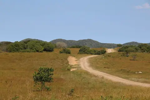 h17904e2.jpg