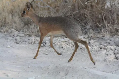 106.jpg