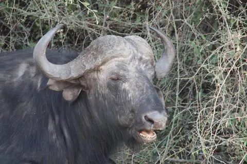 199.jpg