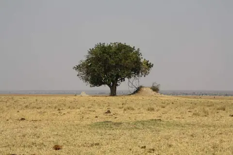 206.jpg