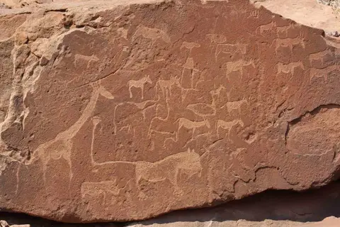 291.jpg