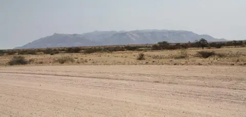312.jpg