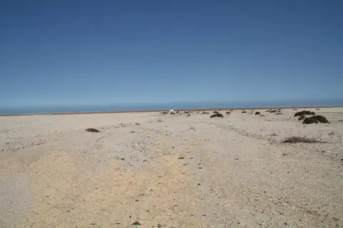 331.jpg