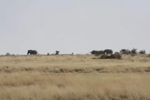 59.jpg