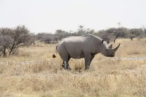 95.jpg