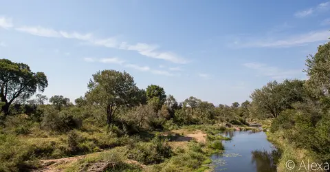 h7263336.jpg