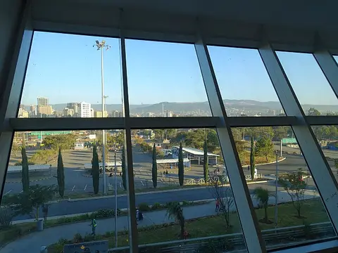 DSC01375.JPG