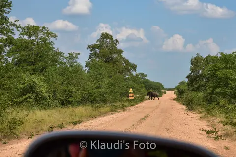 PKH_1017.jpg