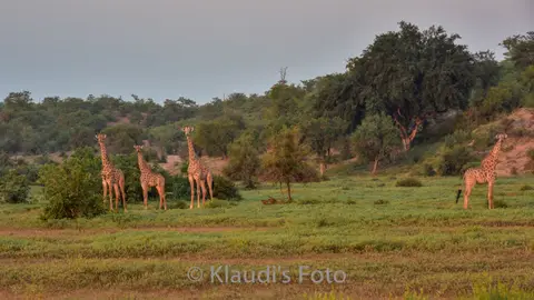 PKH_1136.jpg