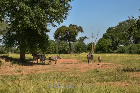 PKH_1305.jpg