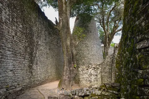 PKH_2078.jpg