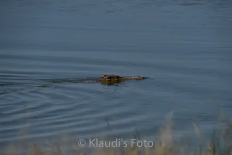 PKH_2184.jpg
