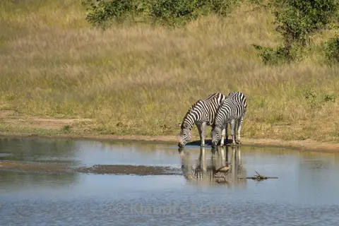 PKH_2224.jpg
