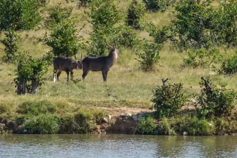 PKH_2249.jpg