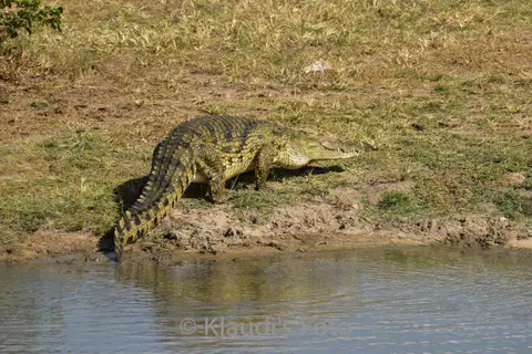 PKH_2251.jpg