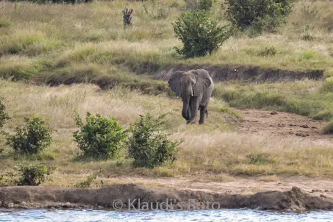 PKH_2319.jpg