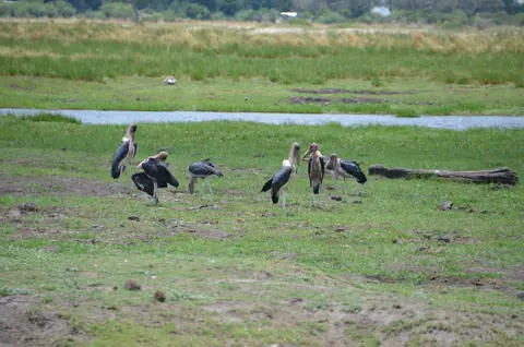 DSC_8257.JPG