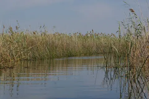 h60e9385.jpg
