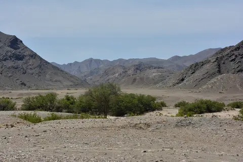 h6c10905.jpg
