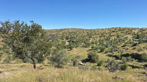 20260419_110839.jpg