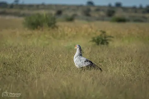 D1CG4747.jpg
