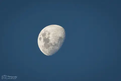 D1CG4901.jpg