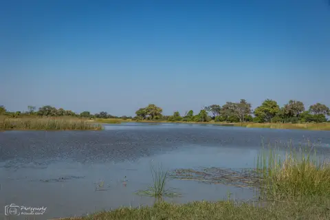 D7AG1130.jpg