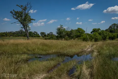 D7AG1141.jpg