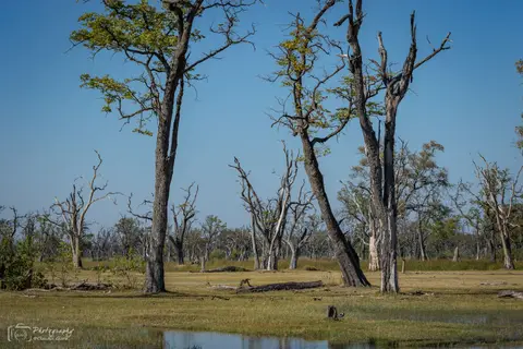 D7AG1308.jpg