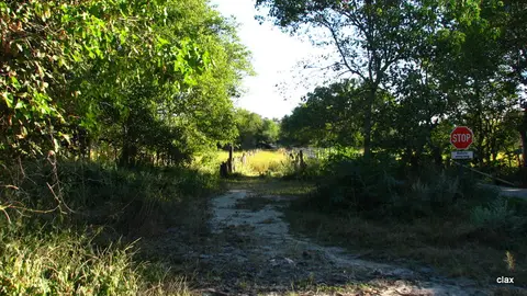 NAMBOT2011_0589.JPG