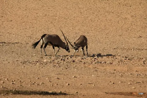 NAMBOTZA_2302.JPG