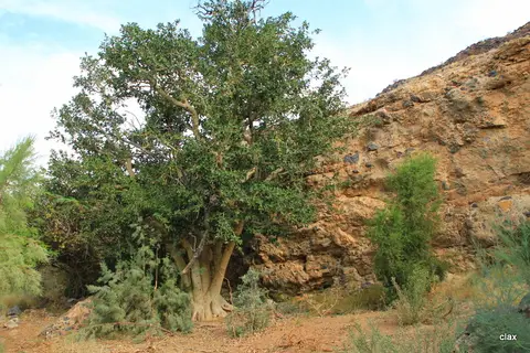 NAMBOTZA_2546.JPG