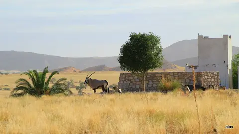 NAMBOTZA_2789.JPG