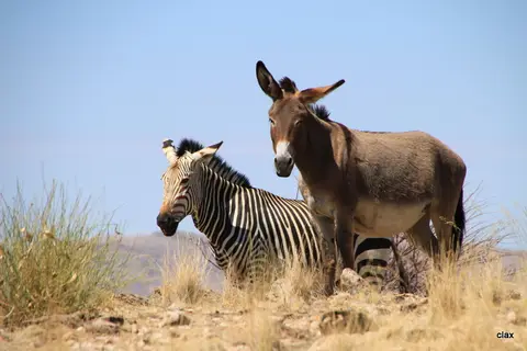 NAMBOTZA_2901.JPG
