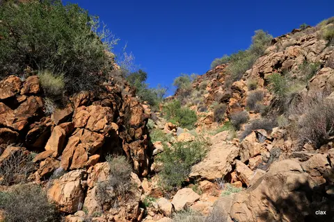 h494349d.JPG