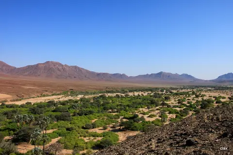 h7065865.JPG