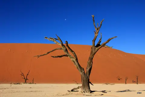 hd7d000a.jpg