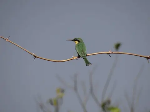 h189d0a5.jpg