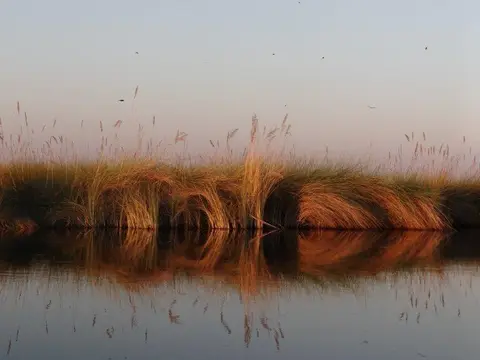 h2c14076.jpg