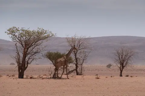 20191009-_DSF3949.jpg