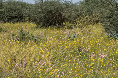 DSCF0132-1.jpg