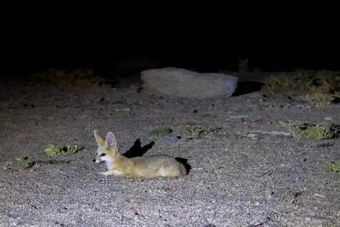 DSCF0174.jpg