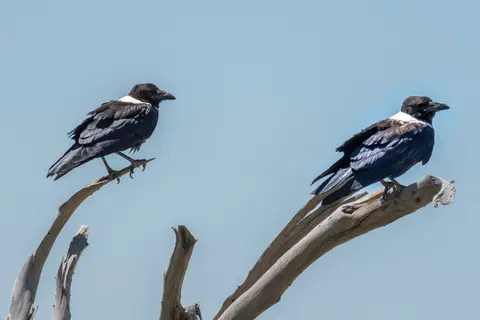 DSCF0189-1.jpg