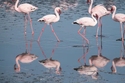 DSCF0326.jpg