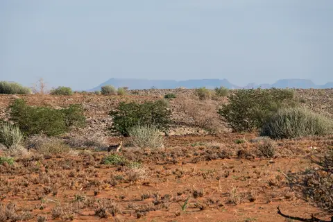 DSCF0911.jpg